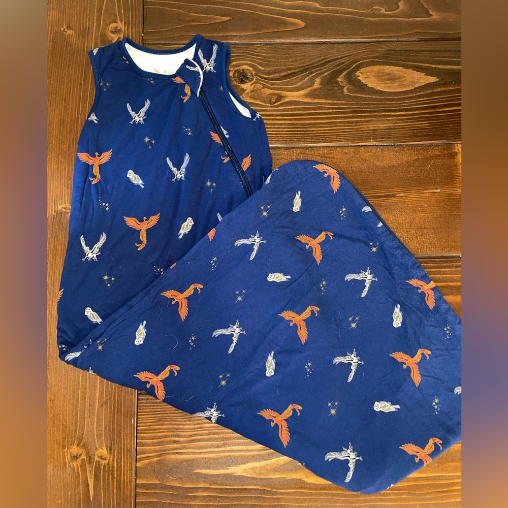 Harry Potter Ravenclaw Kyte baby sleep sack size large